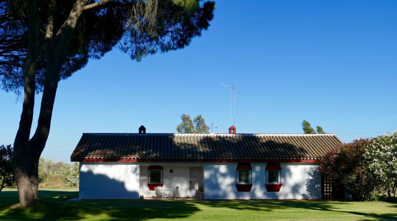La Casita De Hato Pinos, Un Rincon En Donana Aznalcázar Eksteriør billede